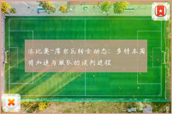 法比奥-席尔瓦转会动态：多特本周将加速与狼队的谈判进程