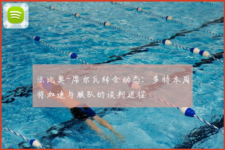 法比奥-席尔瓦转会动态：多特本周将加速与狼队的谈判进程