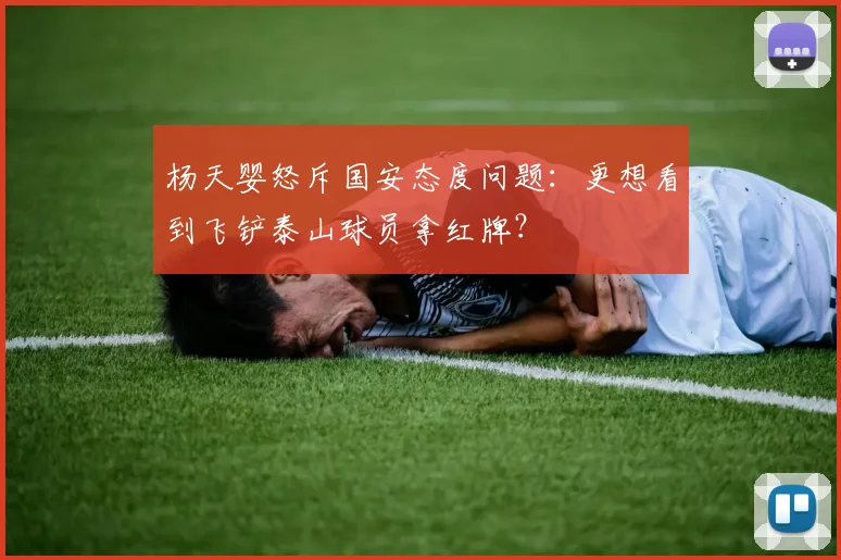 杨天婴怒斥国安态度问题：更想看到飞铲泰山球员拿红牌？